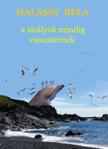 A sirályok mindig visszatérnek